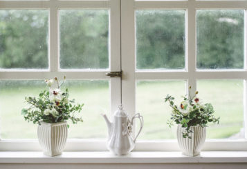 Window with vases-web