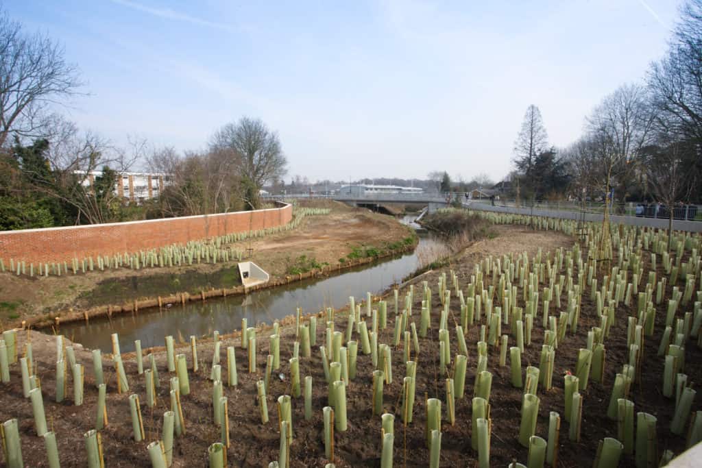 Hoe Valley Flood Defence