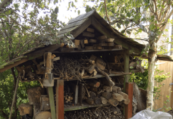 Ben's wood shed